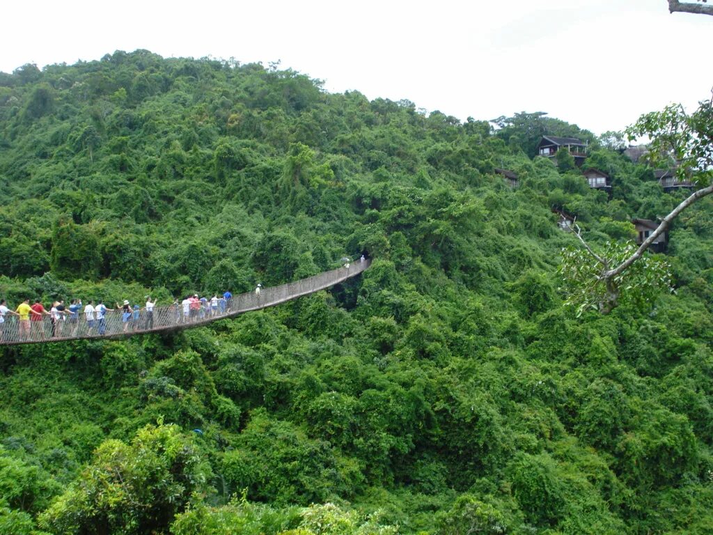 Парк янода хайнань. Джунгли янода хайнань. Джунгли янода хайнань. Парк янода стеклянный мост. Джунгли янода хайнань.