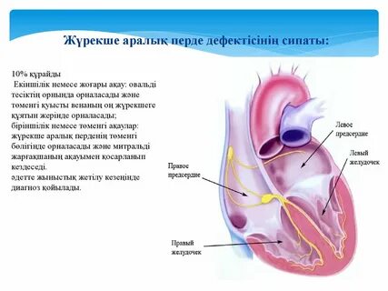 Ұлы анасын жыныстық қатынасқа түсуге әрең көндірді.