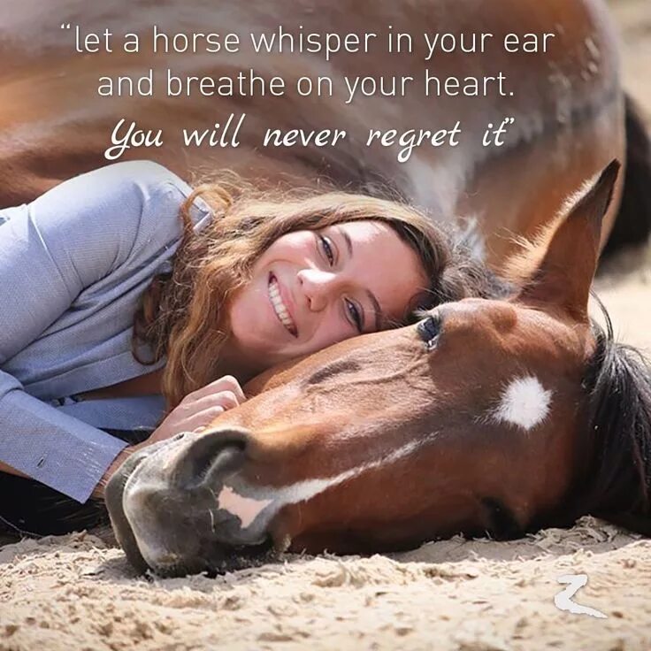 I m a horse