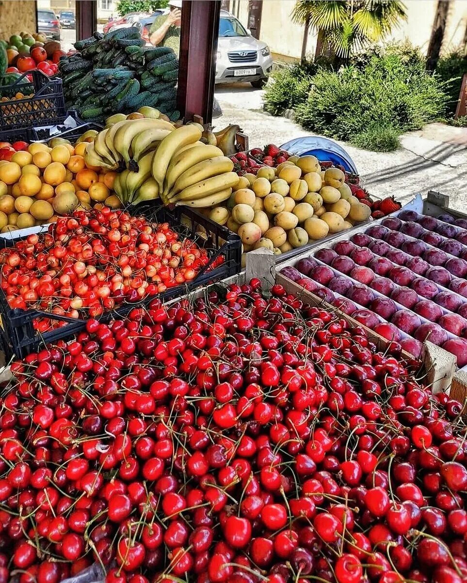 Какой фрукт не успевает созреть в сочи