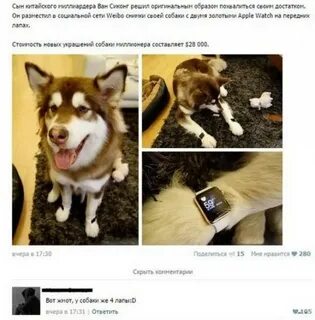 Комментарии собак