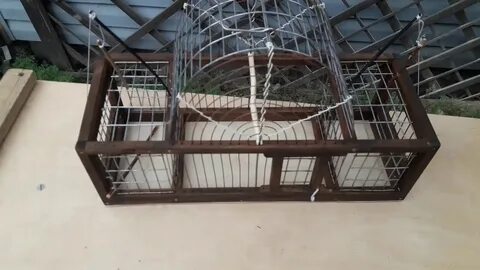 Как поймать в клетку