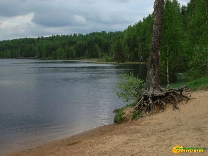 Белоостров пасторское озеро. Пасторское озеро база отдыха. Озеро большое Романовка. Пасторское озеро ленинградская область