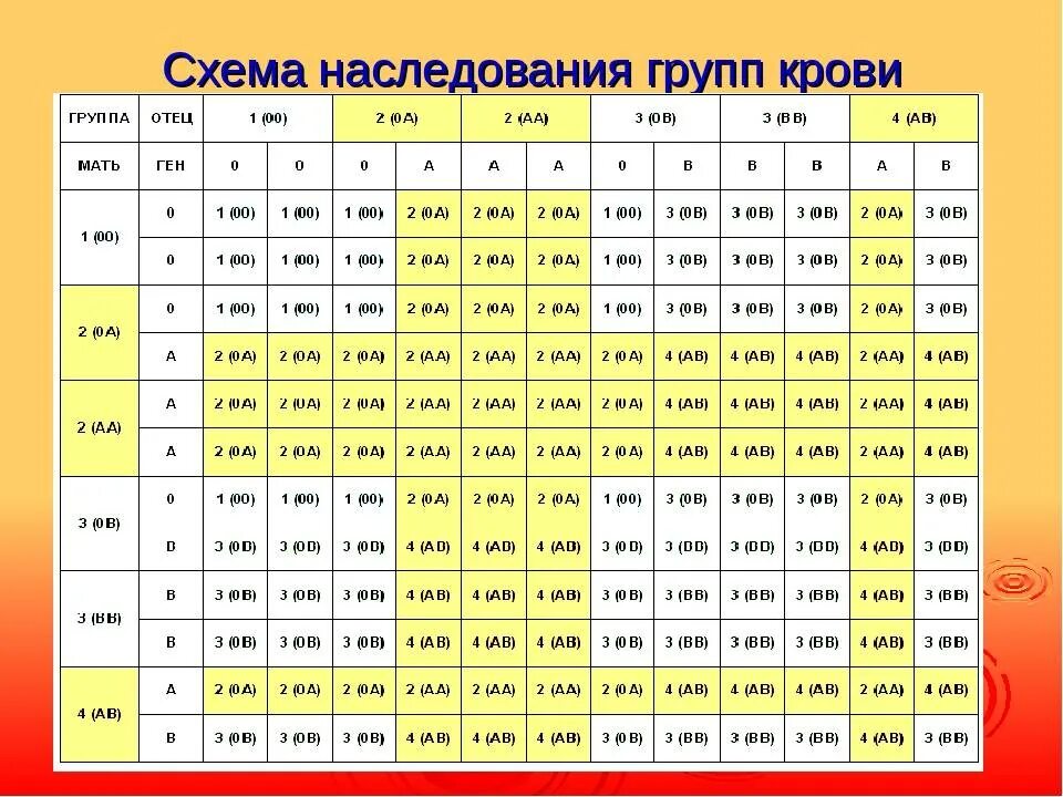 Третья положительная плюс третья положительная