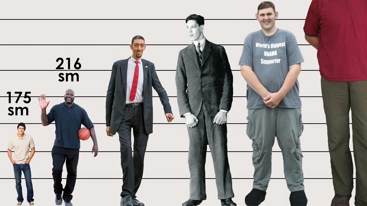 Tall person. Рост человека. Рост самого высокого человека. Самый высокий человек в мире. Самый высокий рост человека.