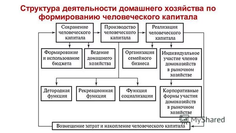классификация домохозяйств. организация и принципы ведения домашнего хозяйства. бюджет домохозяйства. формирование домашнего хозяйства. формирование домашнего хозяйства.