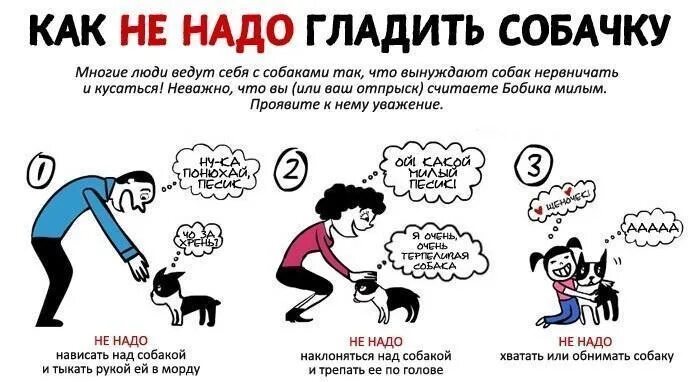 Футболка которую не надо гладить. Постельное белье не требующее глажки какой материал. Где надо гладить девушку. Рубашки которые не надо гладить. Постельное белье которое не надо гладить.