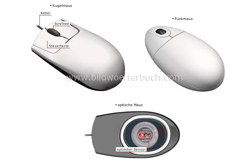 Mouse scroll wheel. Scroll wheel. input device выключатель. mousewheel где находится. 2.4g input device.
