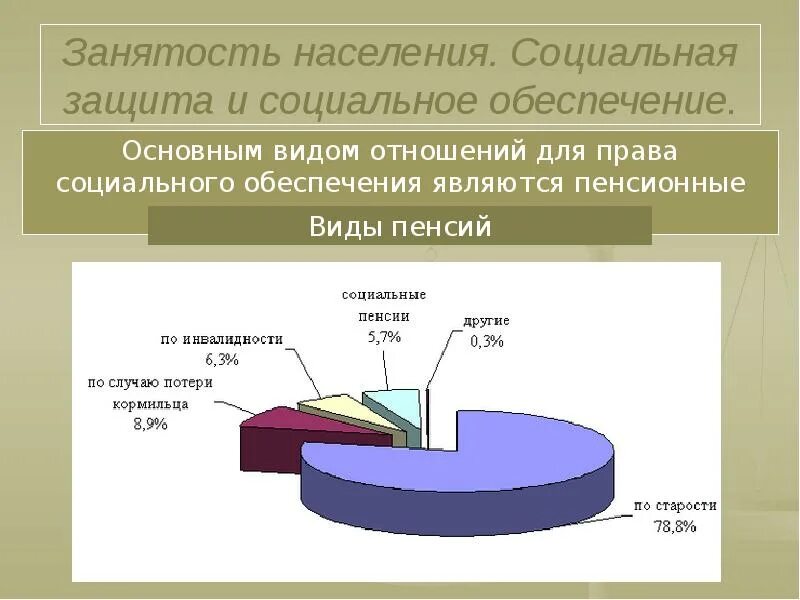 Учреждения социальной защиты курсовая