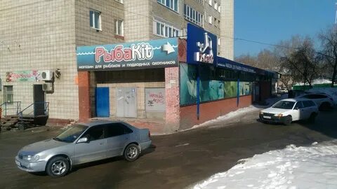 Кит томск