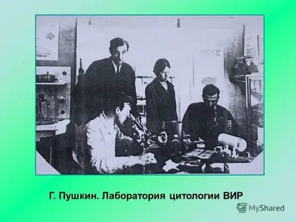 Лаборатория пушкина