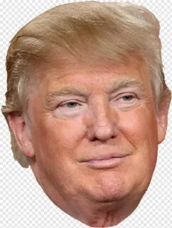 Don head