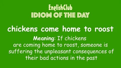Come come chicken