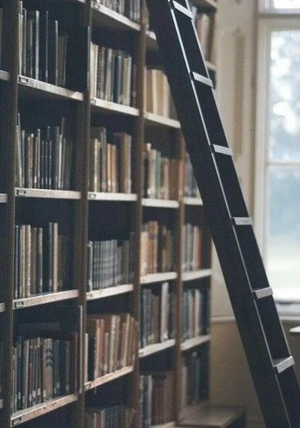Фон книги библиотека. Лестница чтения. Размытый фон книжные полки. Ноты на полке в библиотеке. Bookworm library