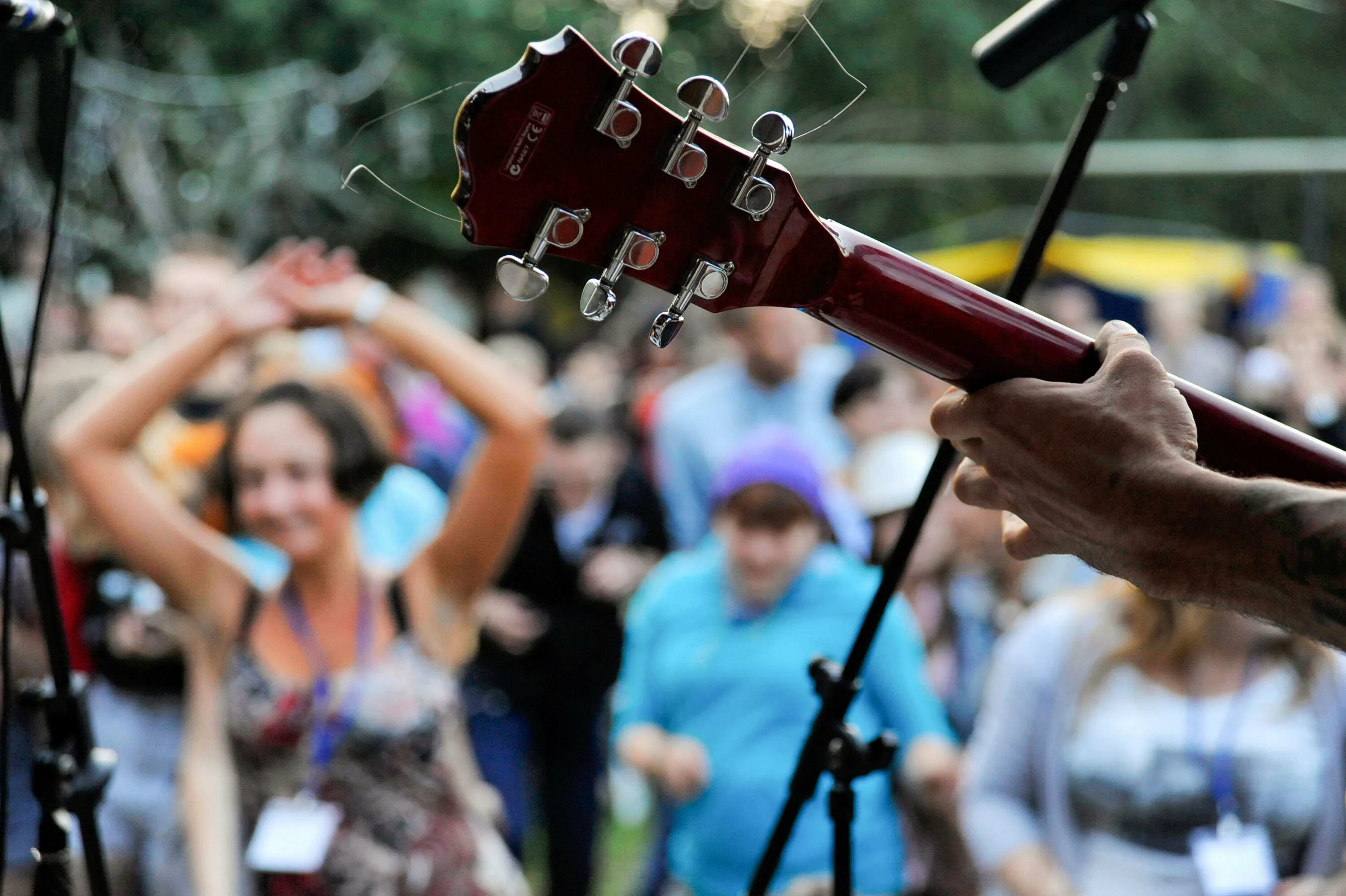 Луковый фестиваль в ивановской области. Ивановская область фестивали. Подозерский ивановская область фестиваль клубники. Черничное гулянье ивановская область. Реброво южский район.