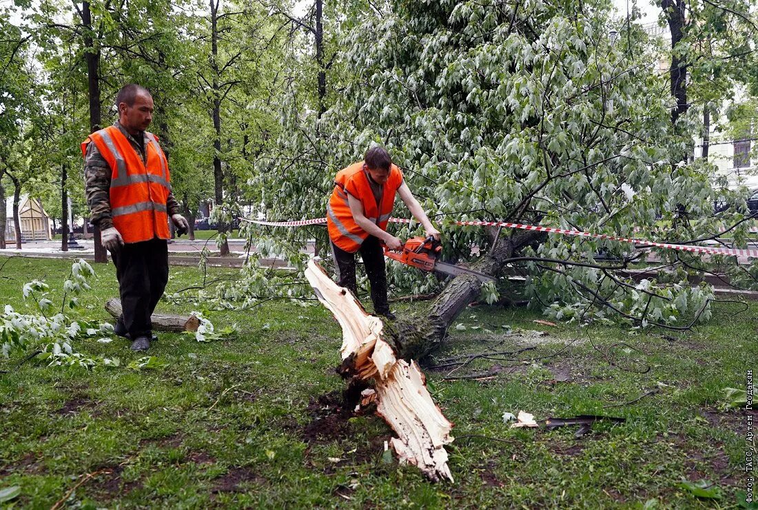 Москва ураган новости сейчас. Московский ураган в мае 2017. Последствия урагана в Москве. Ураган в Москве (2017). Ликвидация последствий урагана.