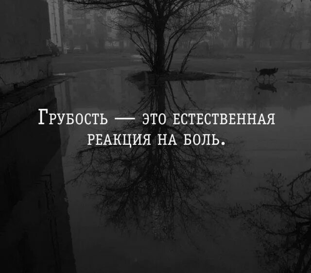 Грубость это естественная реакция на боль. Грубость. Грубый характер. Грубость – это естественная реакция на боль. А. П. Чехов.