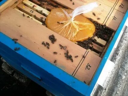 Сыта для пчел