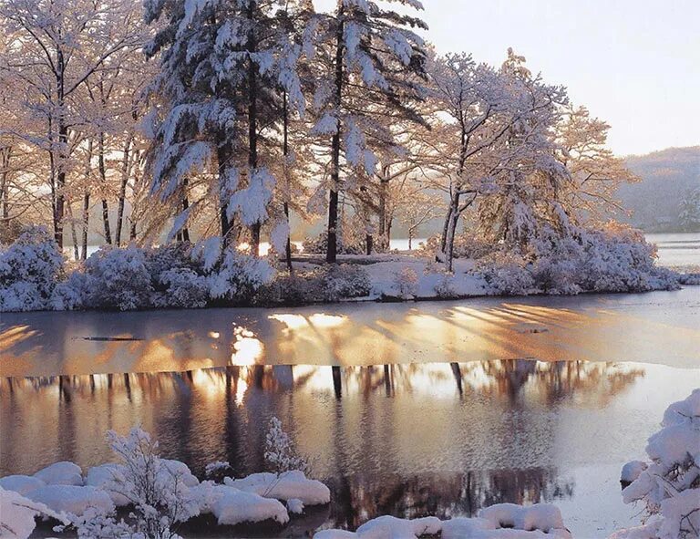 Декабрь е. Зимний пейзаж. декабрь природа. февраль природа. красивые пейзажи зимы.