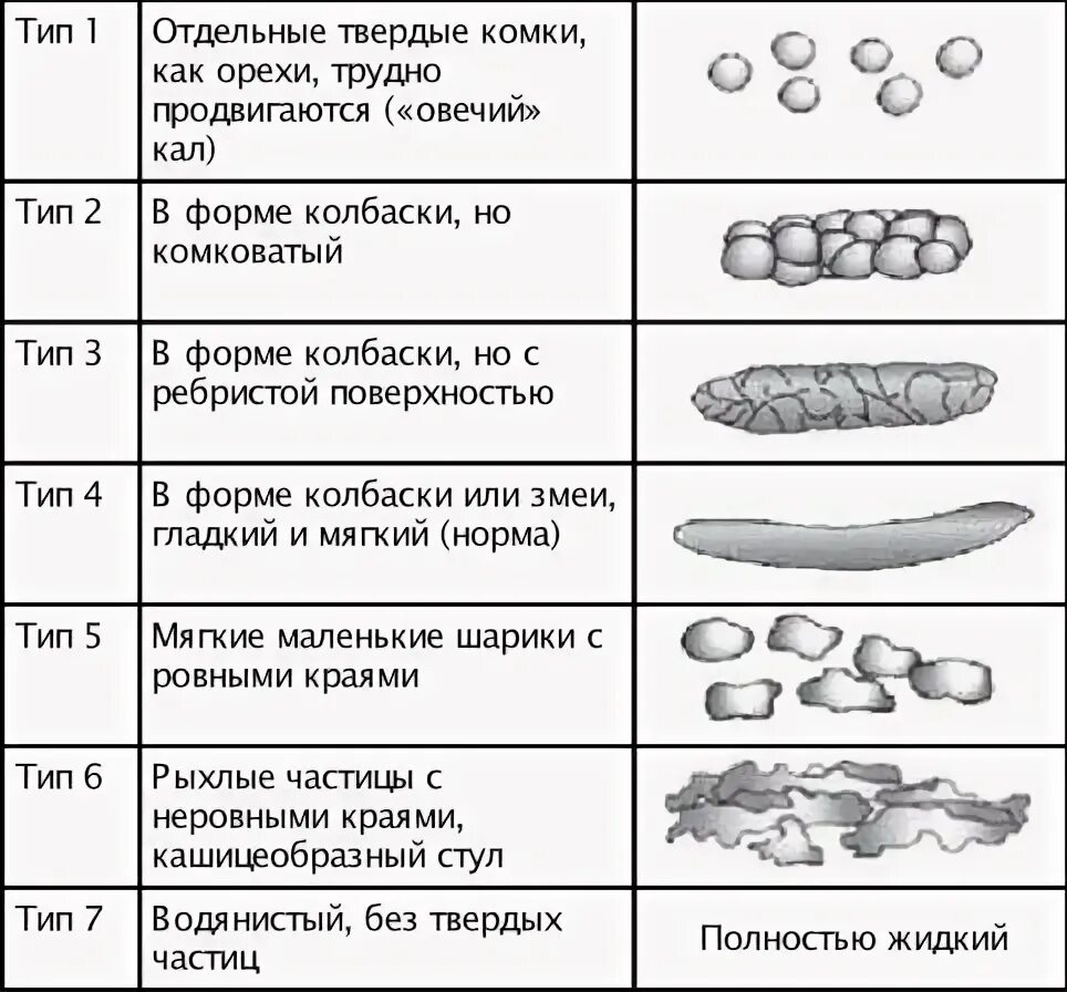 Какой кал при заболевании кишечника. Бристольская шкала кала Тип 2. Бристольская шкала стула овечий кал. Бристольская шкала формы стула Тип 2. Бристольская шкала запора.