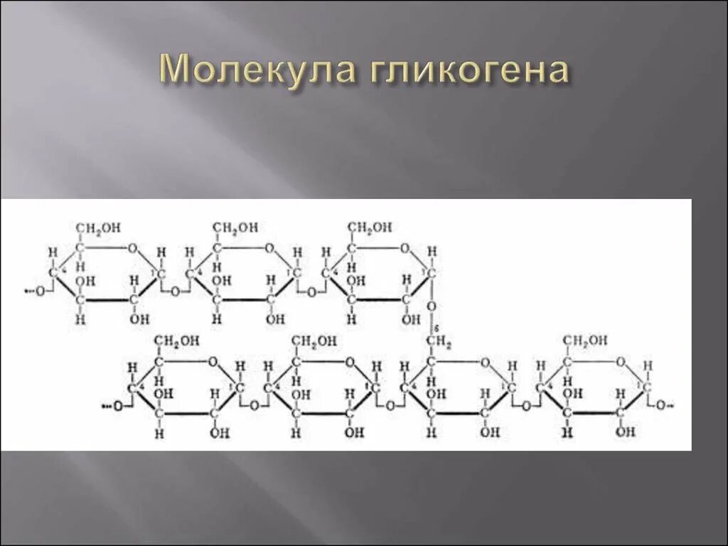 Химическая формула молекулы гликогена. Молекула гликогена формула. Гликоген строение молекулы. Формулу фрагмента молекулы гликогена. Глюкоген