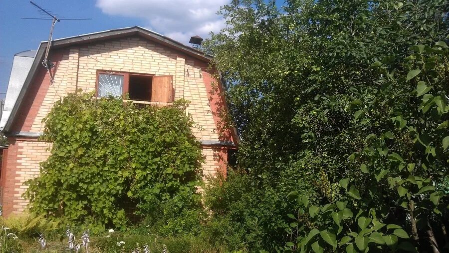 Купавна снт дача. Снт бабкина дача 2. снт бабкина дача старая купавна. бабкина дача 2 старая купавна. снт бабкина дача 2 старая купавна.