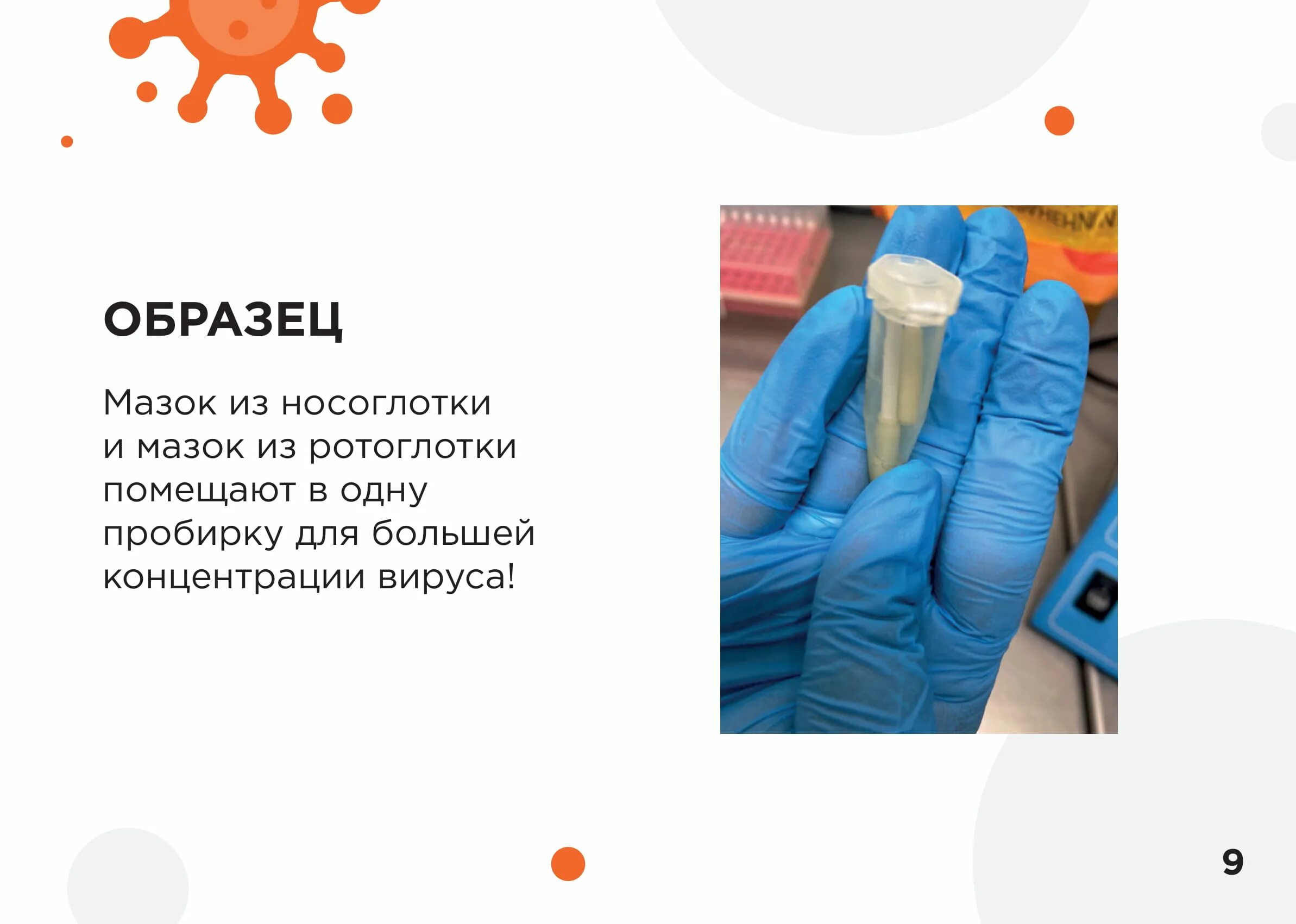 Мазок из зева манипуляция. Алгоритм взятия мазка из зева и носа на пцр. техника взятия мазка на коронавирус алгоритм. порядок взятия мазка на коронавирус. правила забора мазка на коронавирус.