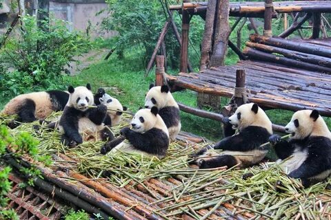 Pandas period