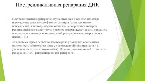 Пострепликативная репарация днк