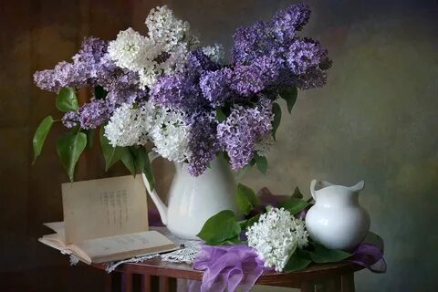 Пастернак сирень
