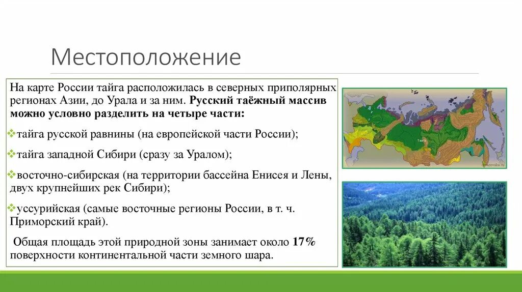 Географическое положение тайги в России на карте. Расположение зоны тайги в России. Природная зона Тайга географическое положение. Тайга европейской части России географическое положение.