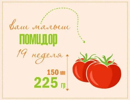 20 недель какой фрукт