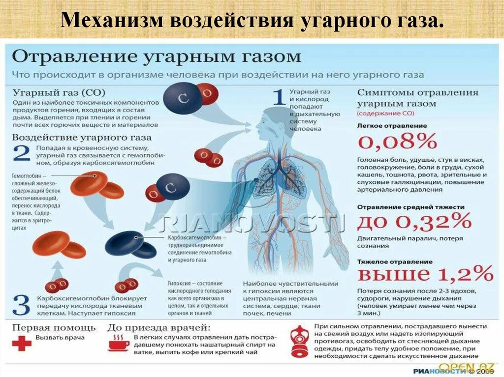 Можно ли отравиться печенью