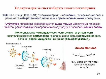 Поляризация примеры
