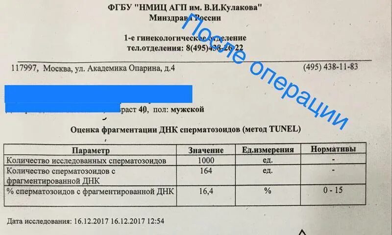 Лечение днк фрагментации. Оценка фрагментации днк спермограммы норма. фрагментация днк сперматозоидов. днк фрагментация анализ. что такое степень фрагментации днк спермограммы.