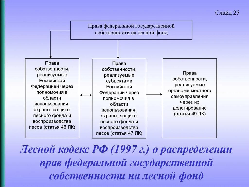 Лесной кодекс 1997. Нарушение прав государственной собственности на леса. Федеральная собственность РФ.