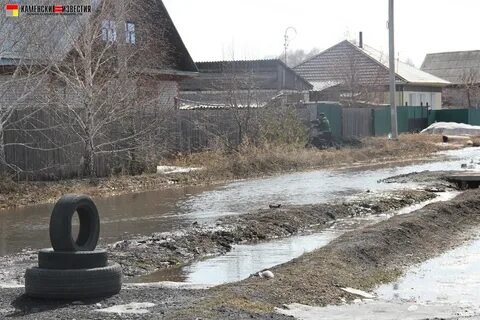 Камень на оби 2024