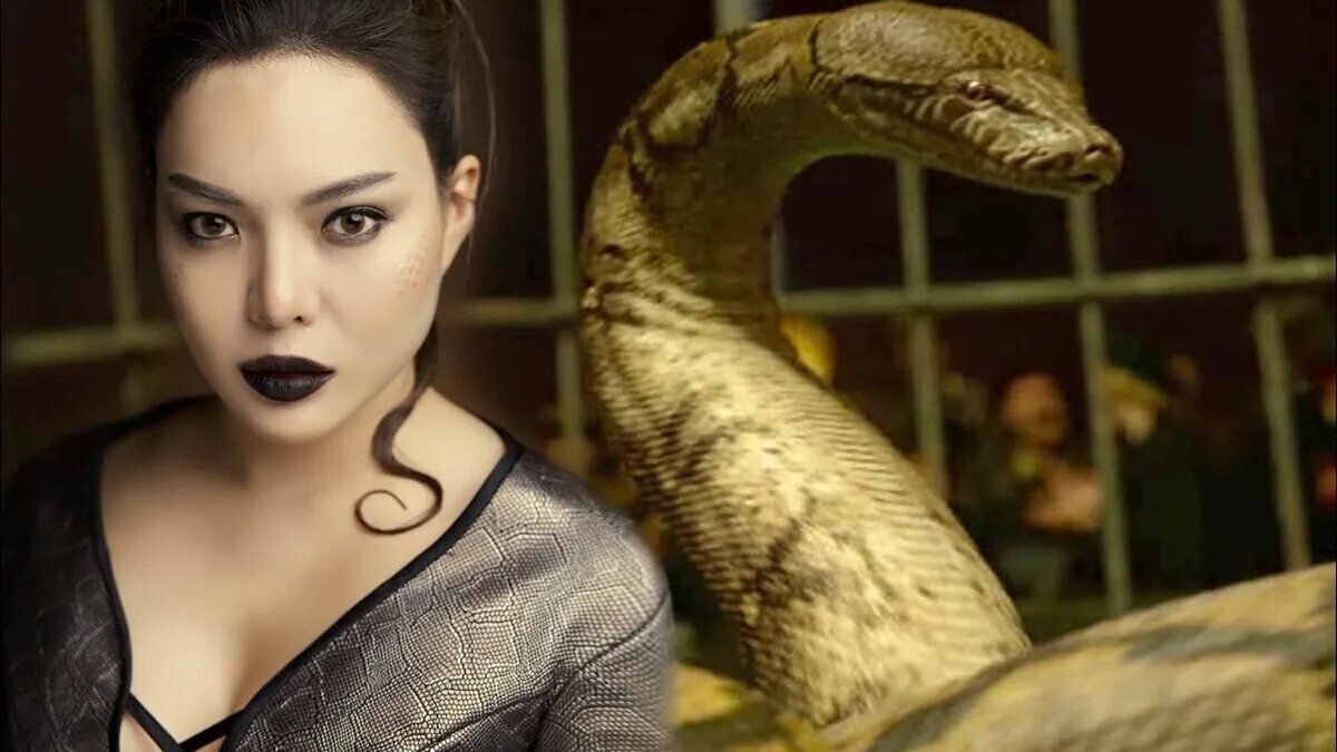 Нагайна маледиктус. Нагайна гарри. Нагайна гарри. Клаудия ким нагайна. Нагайна фантастические твари.