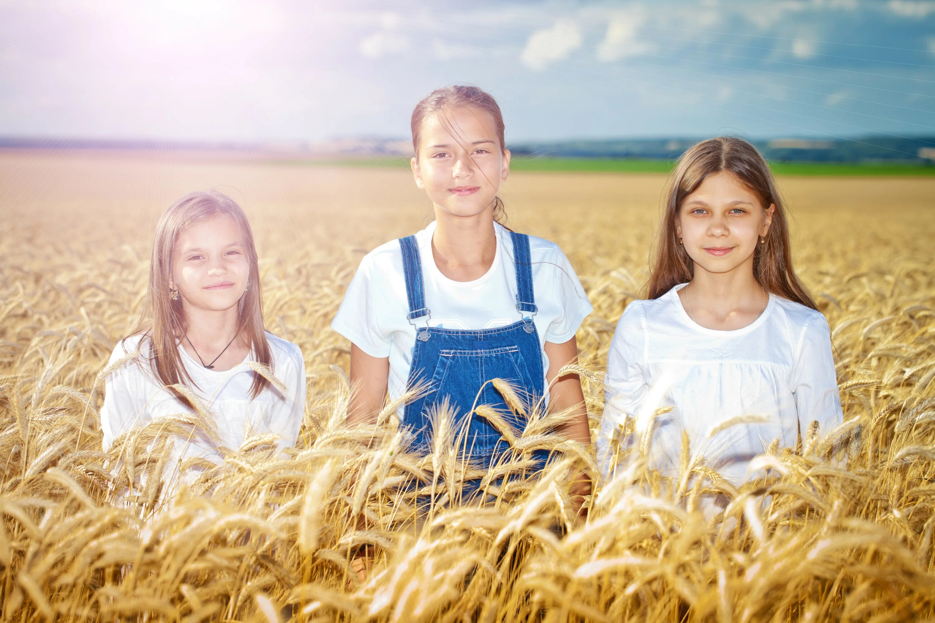 Field children. Колос для детей. Дети в поле с колосьями. Девочка с колосьями. Дети в пшеничном поле.