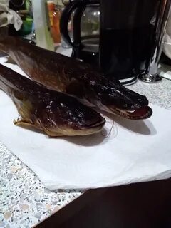 Копченый сом