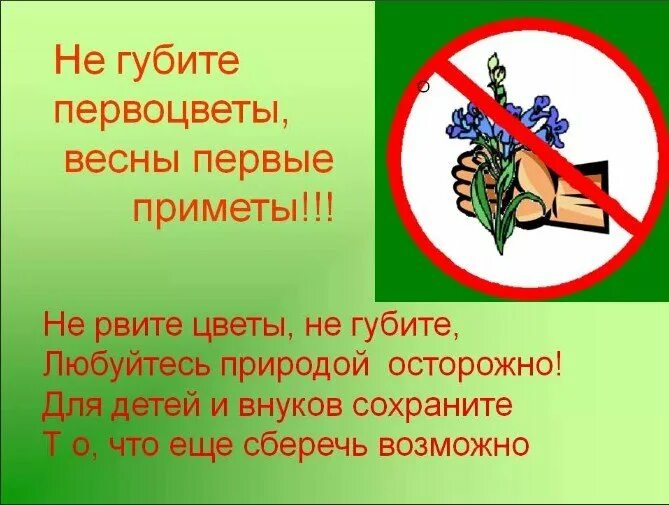 Не рвите первоцветы. Не губите первоцветы весны. Знак не рвите редкие растения. Слоган о защите первоцветов.