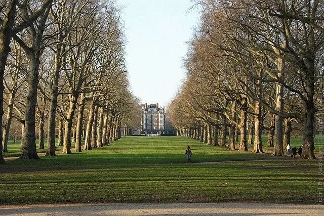 Green Park Лондон. Грин парк Англия. Зеленый город в Лондоне Королевский парк Грин парк. Грин парк в Лондоне фото. Лондон грин