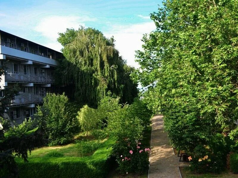 Парк сити юг. Гостиница платан в краснодаре. Южная столица сочи. Отель сити роуз ростов на дону. Номер твин в сити парк отеле.