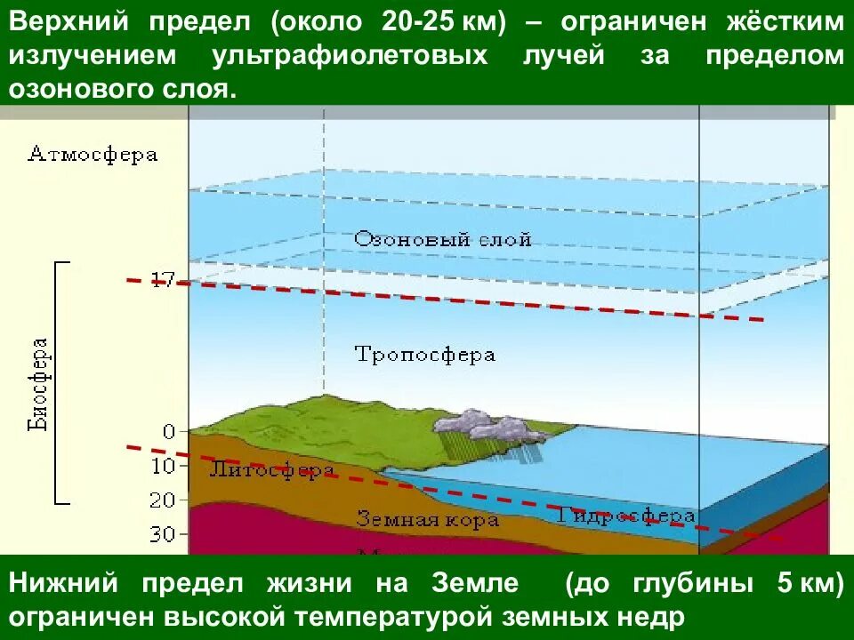 4 живая оболочка земли. Газовая оболочка земли. Живая оболочка земли 5 класс презентация. Температура нейтрального слоя земли. Температура озонового слоя.