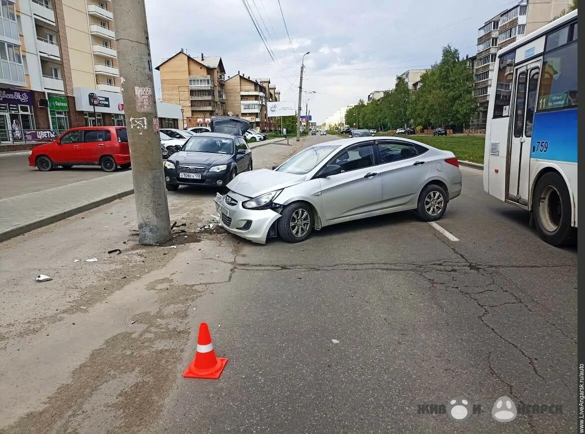 Волки скопинском районе. Дтп сводка дня. 10. Аст-54 новосибирск сегодня сводка дтп. Волки скопинском районе.