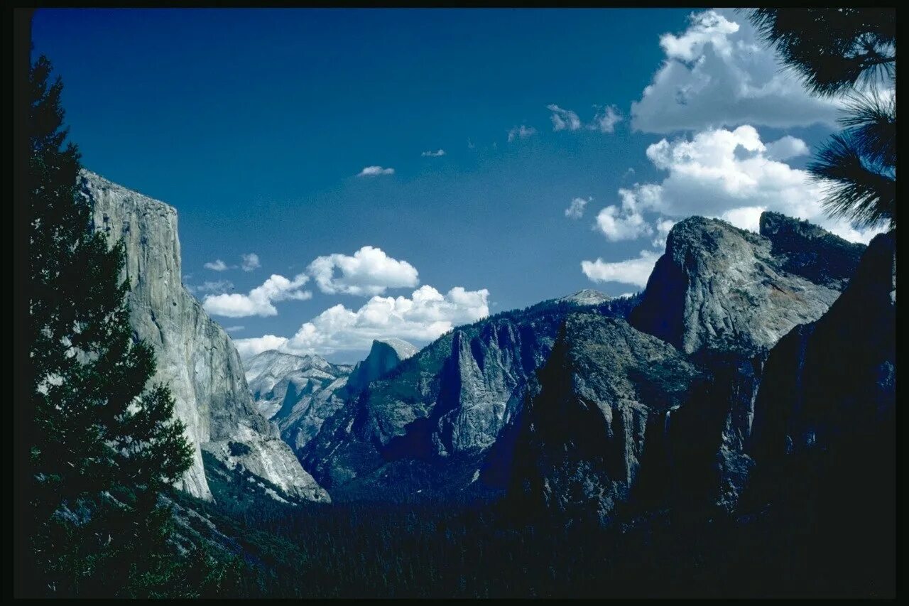 Кораллиты в пещерах. Как развиваются горы. Стадия компенсации острого стеноза гортани. Как понять выражение гора родила мышь. Ниша в пещере.