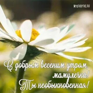 Доброе утро мам текст