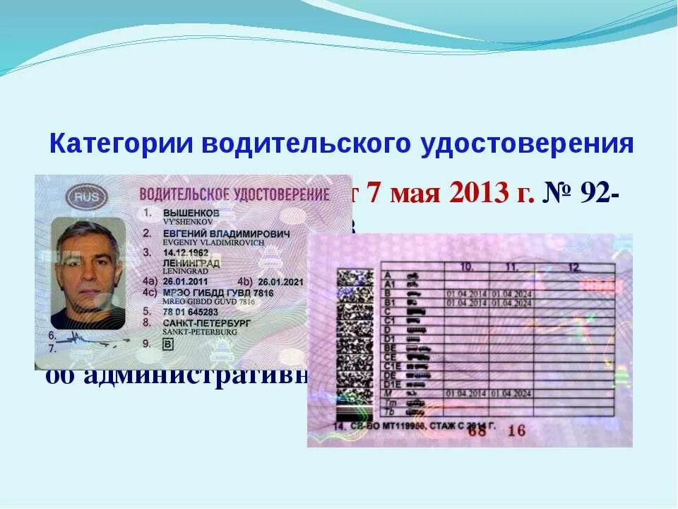 Что обозначает категория 1