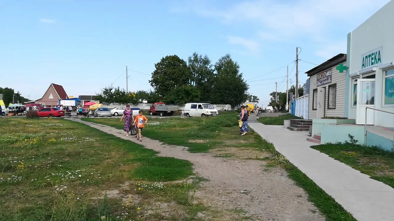 Великая новоселка в донецкой. Андреевка (посёлок городского типа, волновахский район). Село борки харьковская область. Украина посёлок великие новоселки. Пгт великая.
