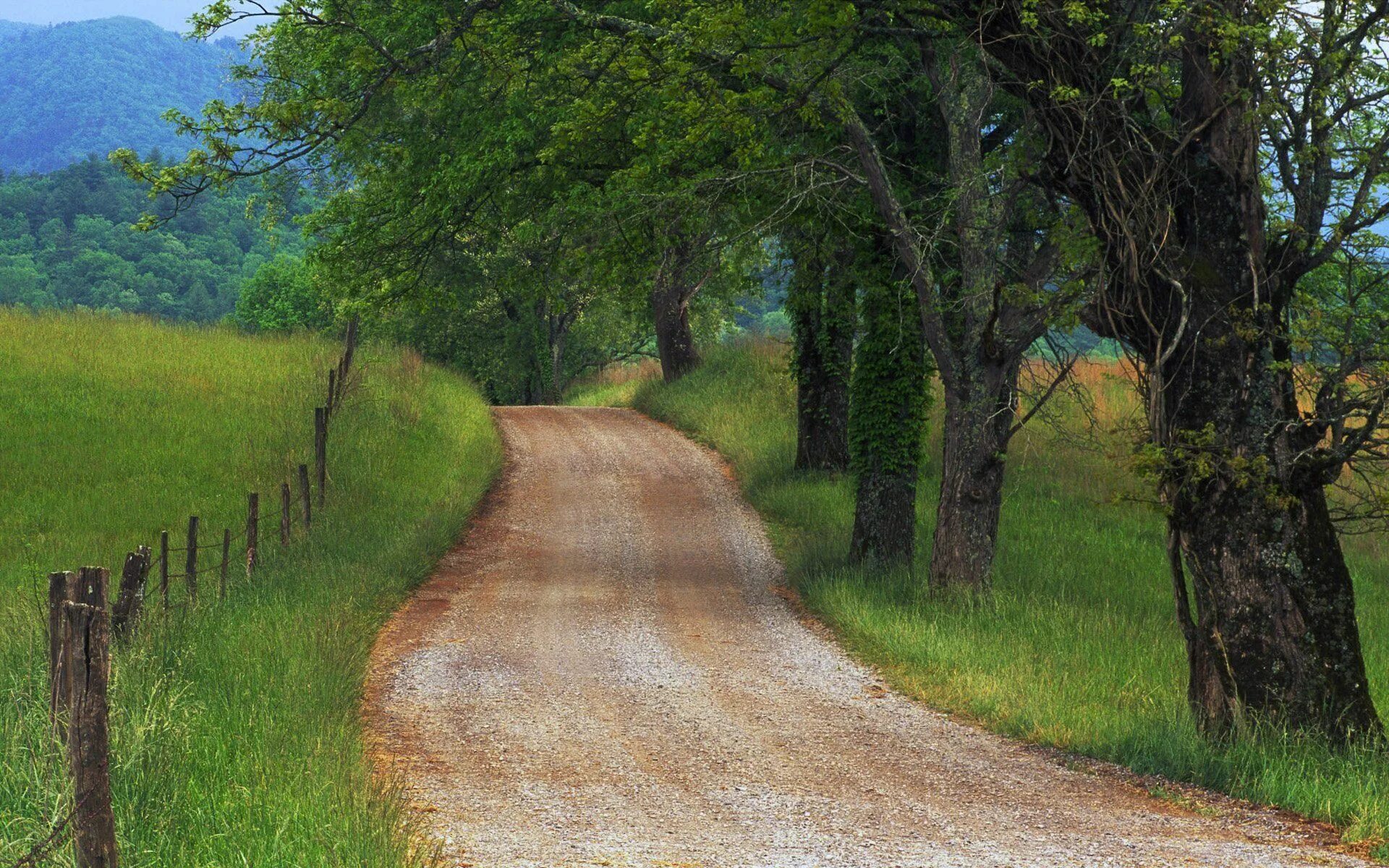 County roads. Сельская Проселочная дорога. Проселочная дорога дерево. Кантри Роудс. Дорога Проселочная тропинка.